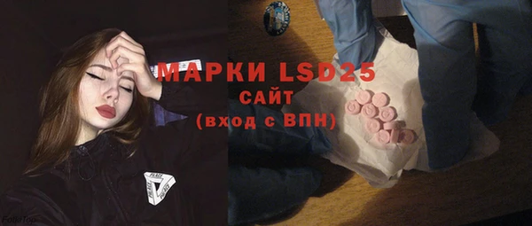 гашик Михайлов