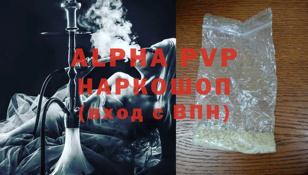 гашик Михайлов