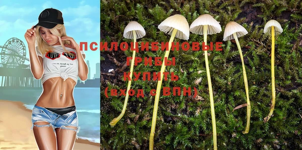 спайс Михайловка