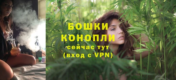 гашик Михайлов
