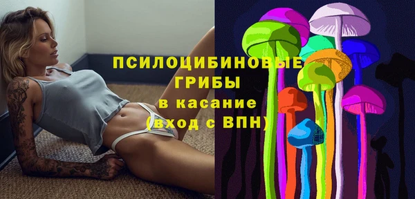 гашик Михайлов