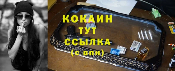 гашик Михайлов