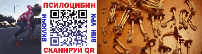 Псилоцибиновые грибы Cubensis  OMG ТОР  Черногорск  как найти закладки 